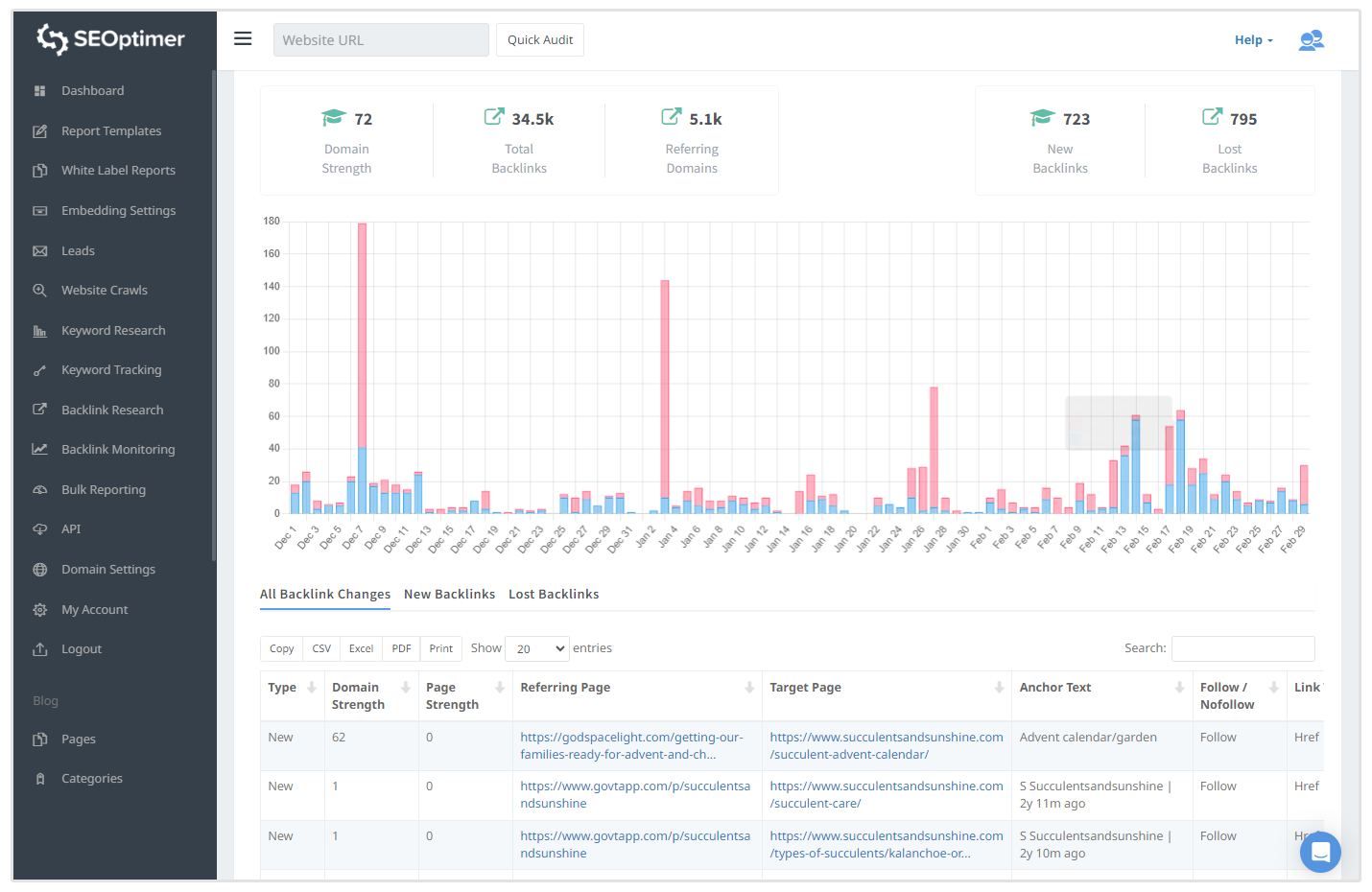 backlink monitoring tool